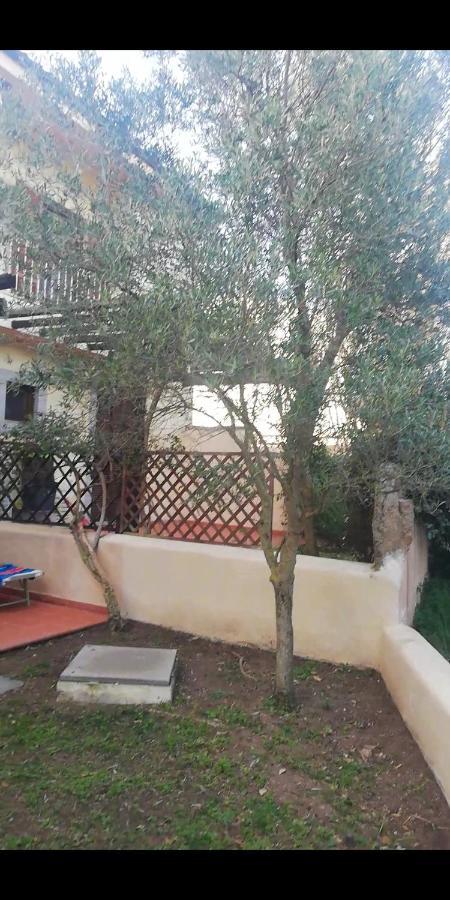 Appartement Oasiglo à La Maddalena  Extérieur photo